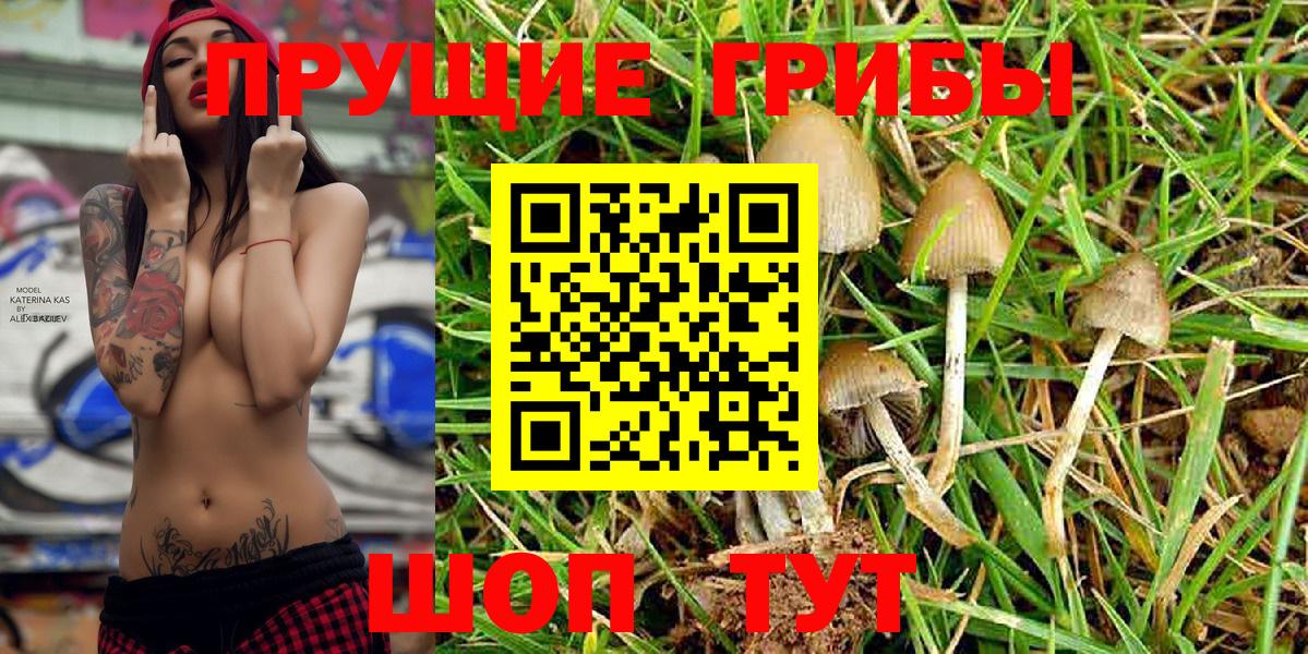 Галлюциногенные грибы Cubensis Котлас
