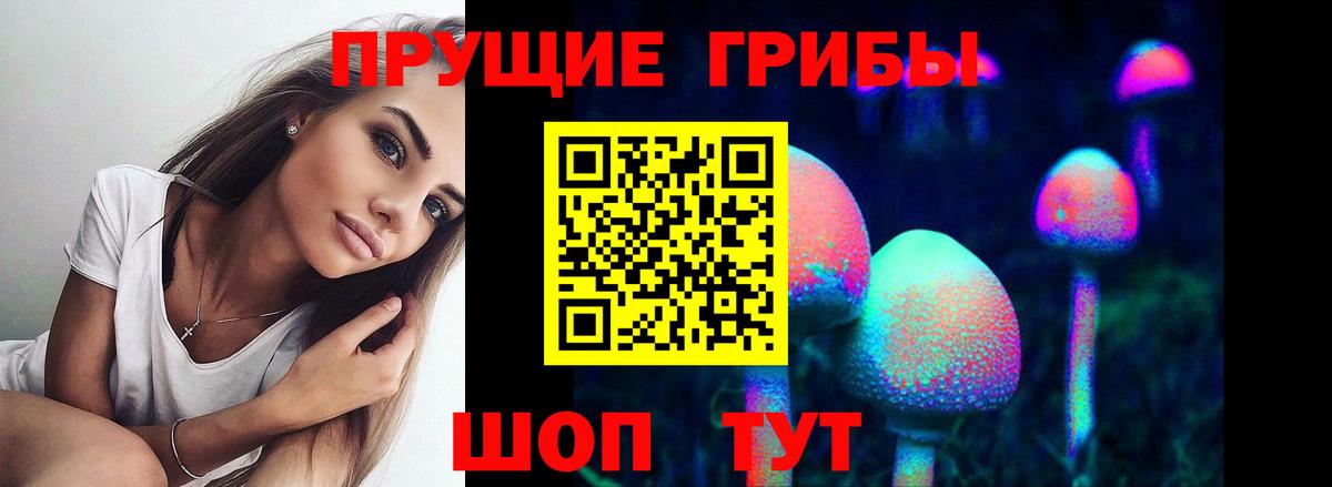 Котлас  Галлюциногенные грибы мухоморы  Вход с VPN 